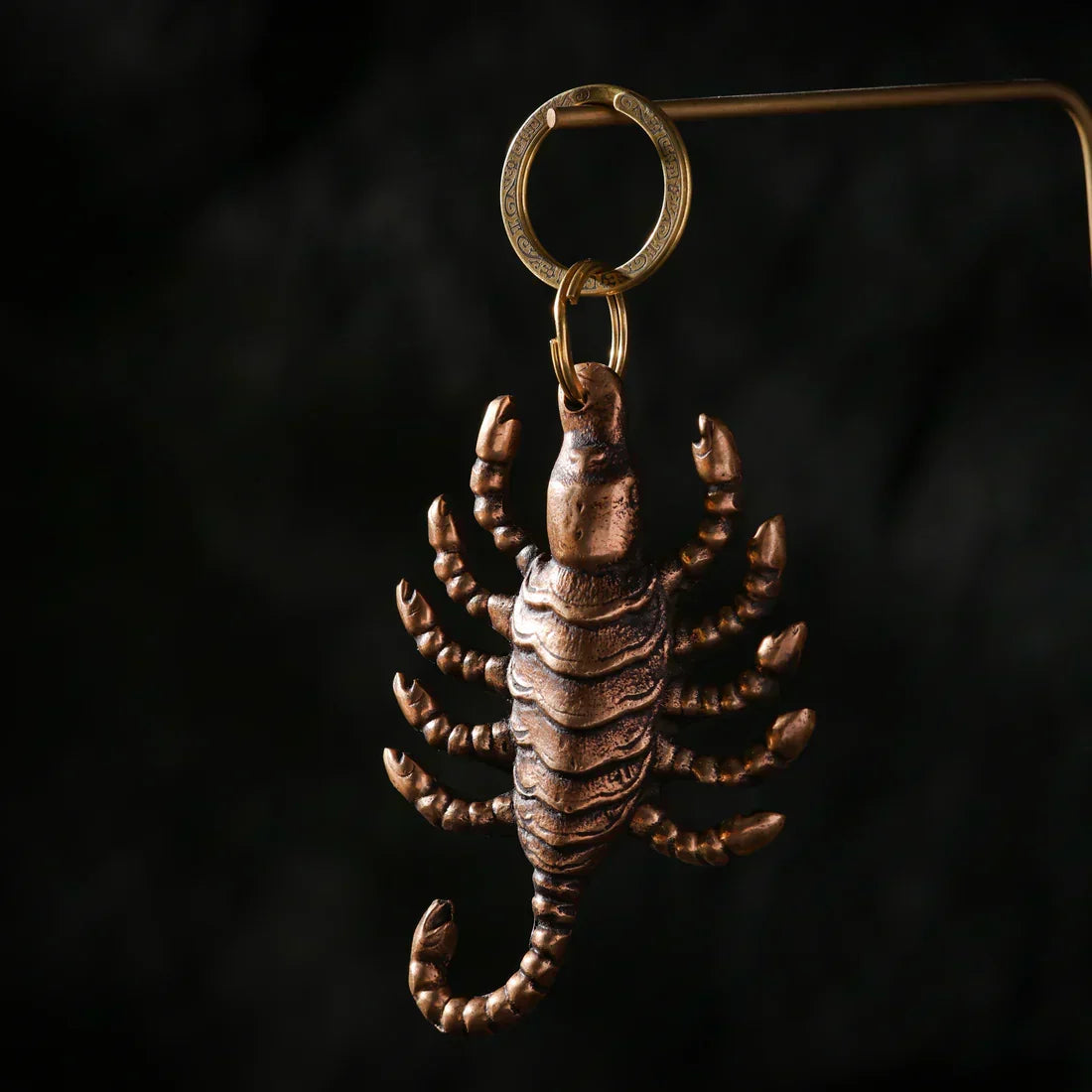 Scorpion Symbol Meaning: 435 Million Years of Armor, Venom, and Sovereign Force
