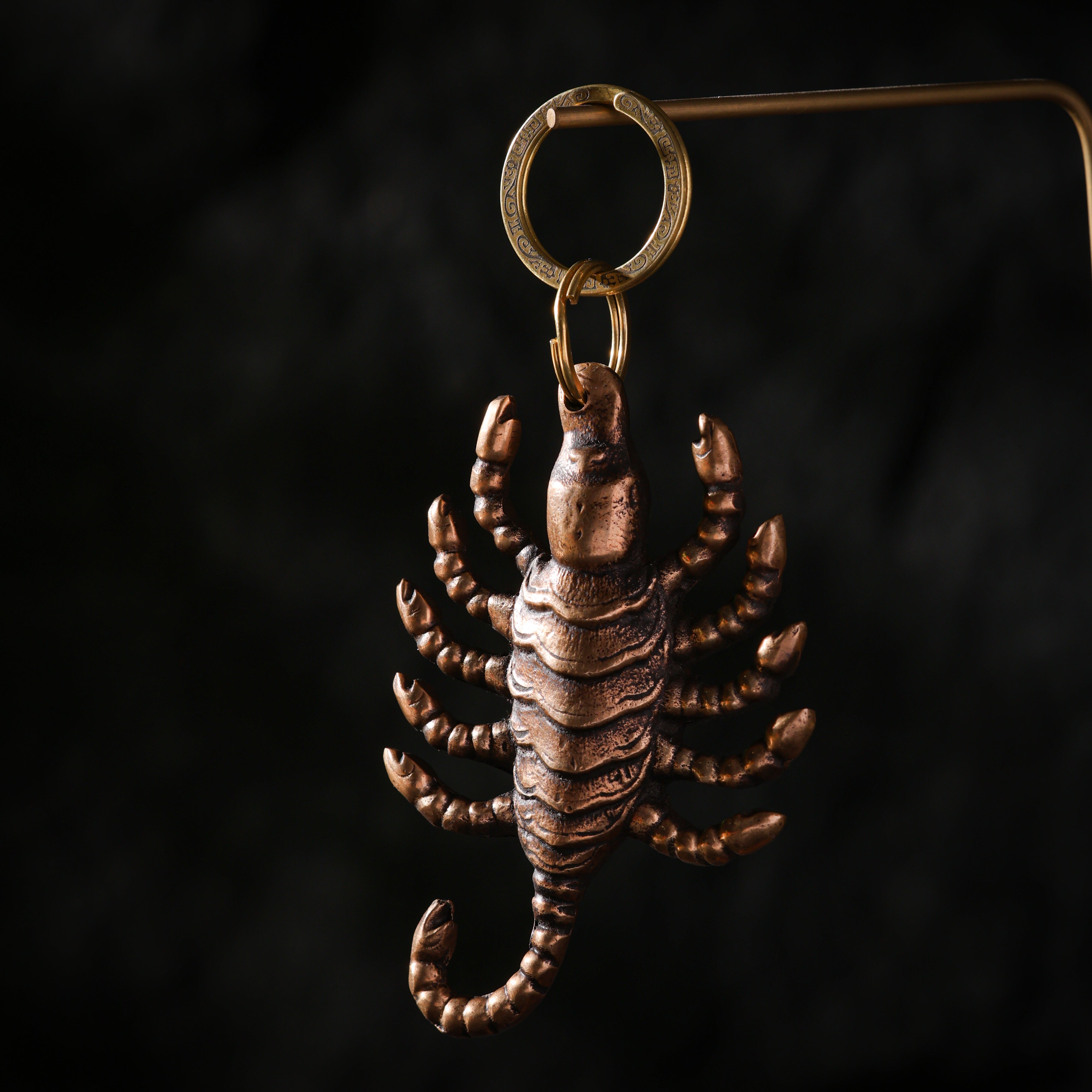 Scorpion Talisman Bag Charm Keychain-4